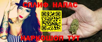 индика Заводоуковск