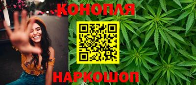 индика Заводоуковск