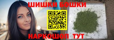 индика Заводоуковск
