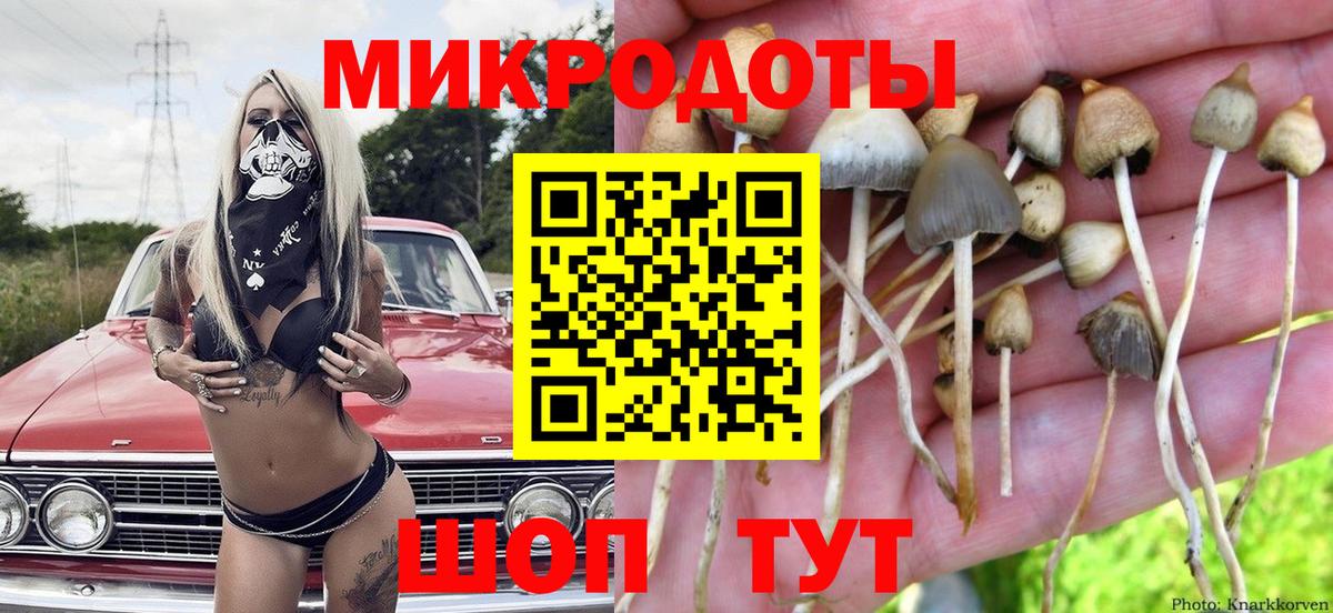 Галлюциногенные грибы Cubensis Партизанск